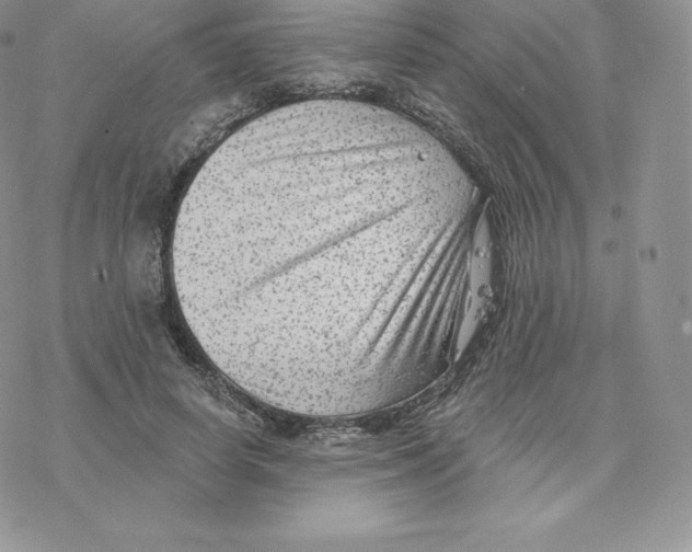 X0000077320642200611171743