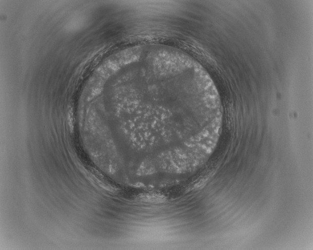 X0000077320644200611171743