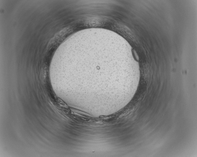 X0000077320645200611171743