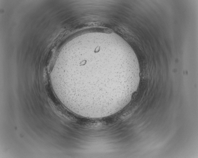 X0000077320646200611171743