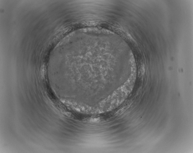 X0000077320647200611171743