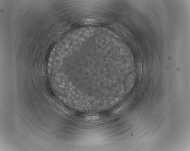 X0000077320653200611171743