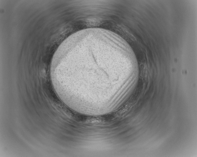 X0000077320655200611171743