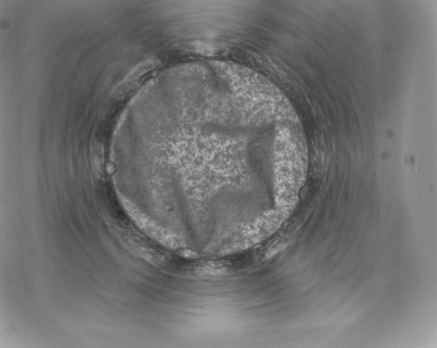 X0000077320656200611171743