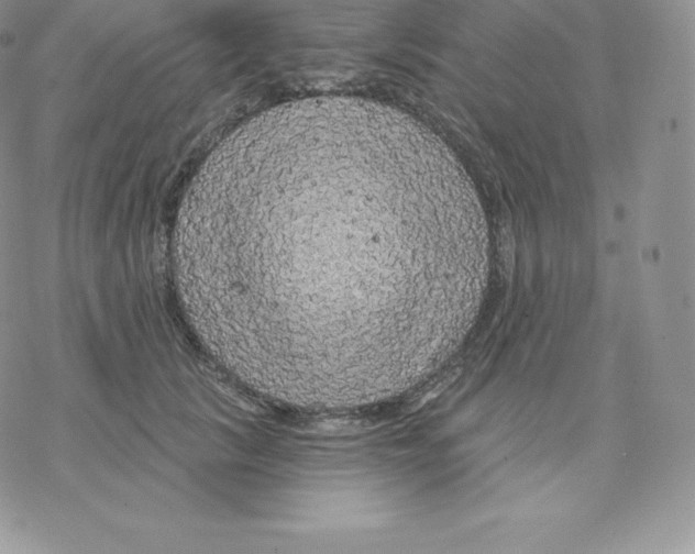 X0000077320657200611171744