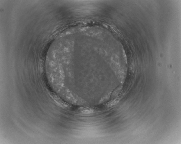 X0000077320658200611171744