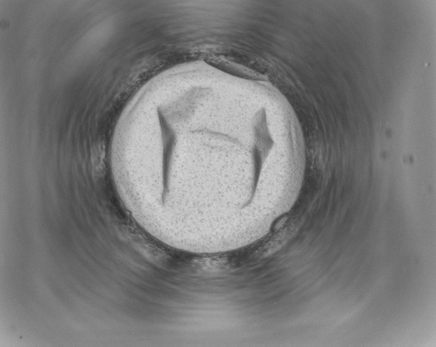 X0000077320660200611171744