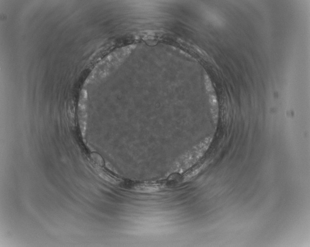 X0000077320661200611171744