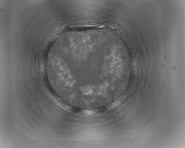 X0000077320662200611171744