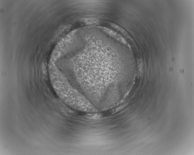 X0000077320667200611171744