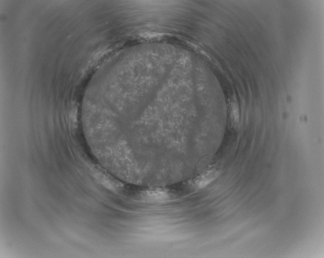 X0000077320668200611171744