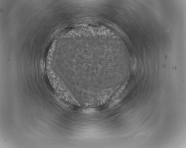 X0000077320669200611171744