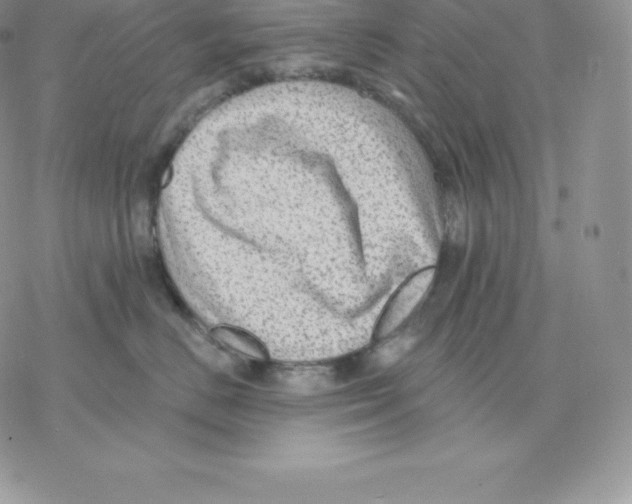 X0000077320670200611171744