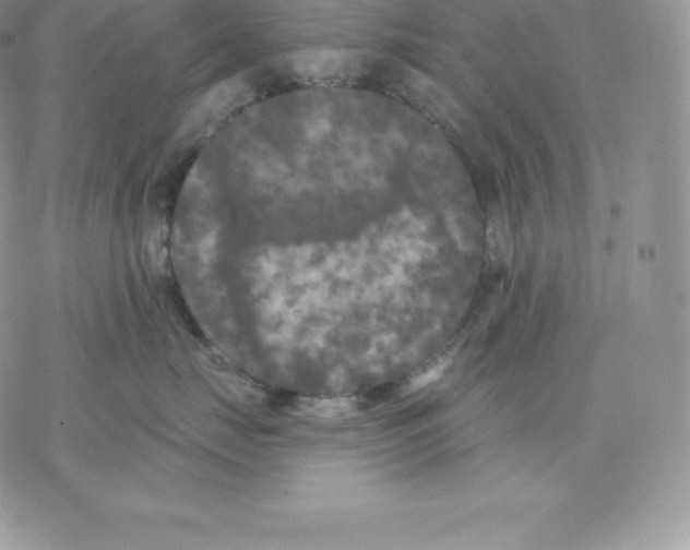 X0000077320671200611171744