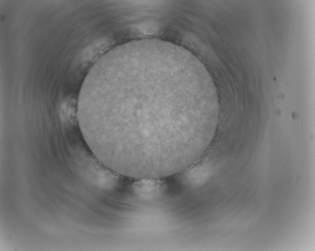 X0000077320672200611171744