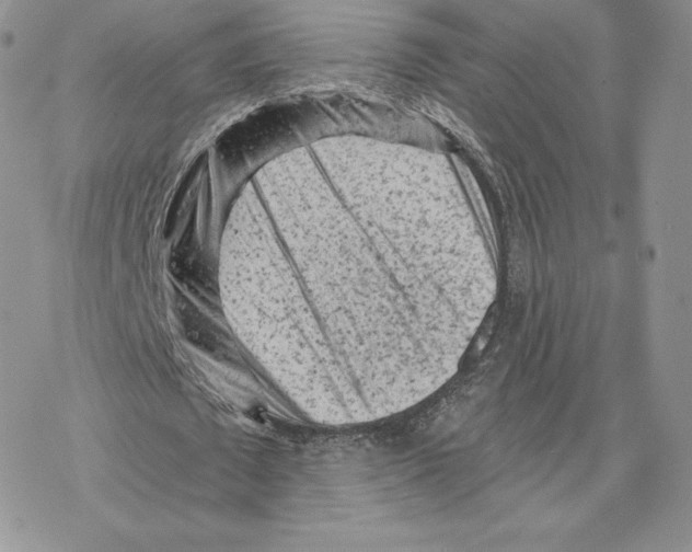 X0000077320673200611171743