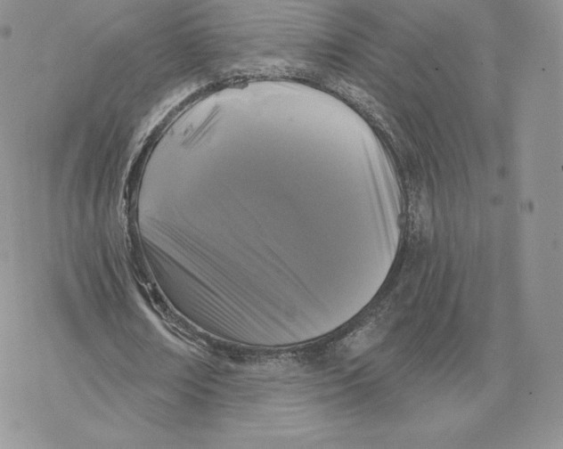 X0000077320674200611171743