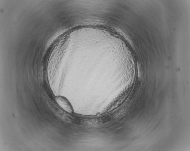 X0000077320675200611171743