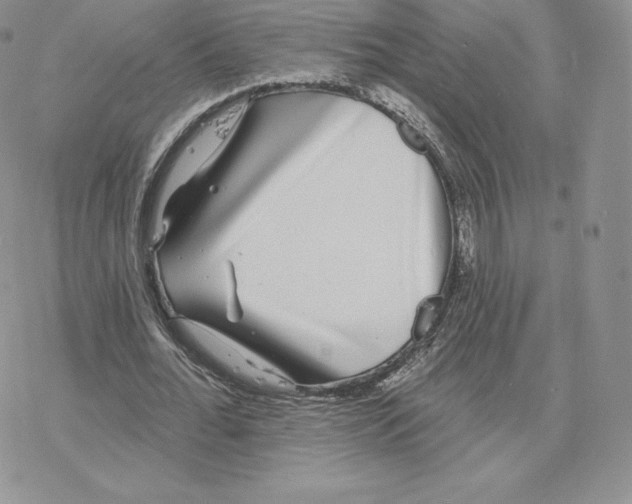 X0000077320676200611171743