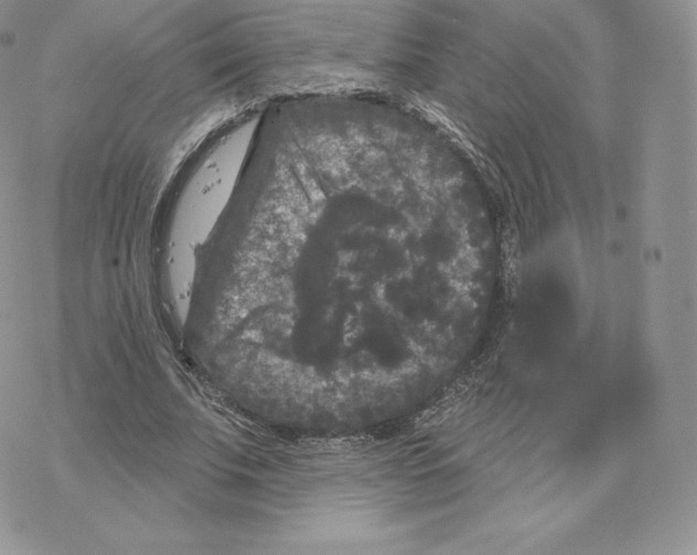 X0000077320679200611171743