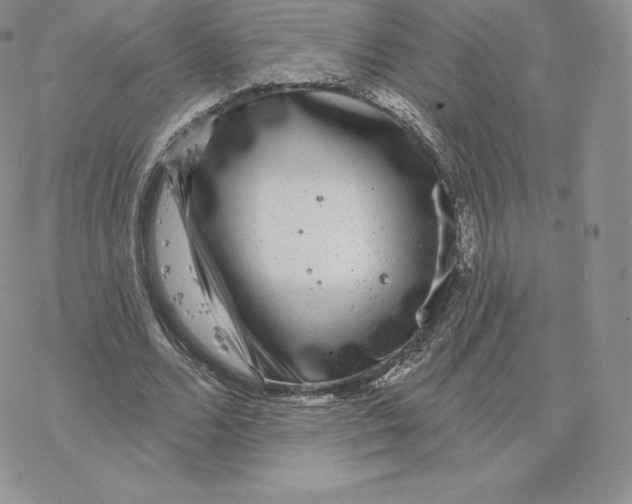 X0000077320680200611171743