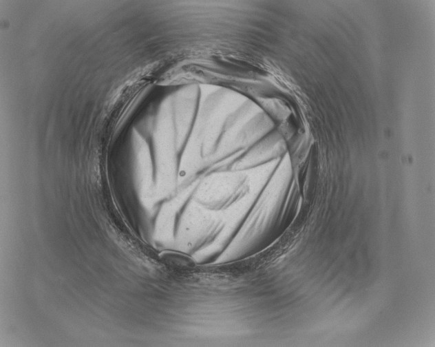 X0000077320681200611171743