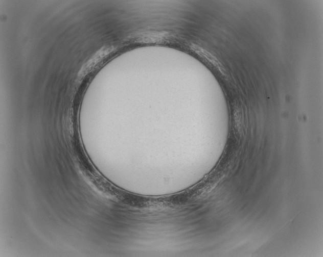 X0000077320682200611171743