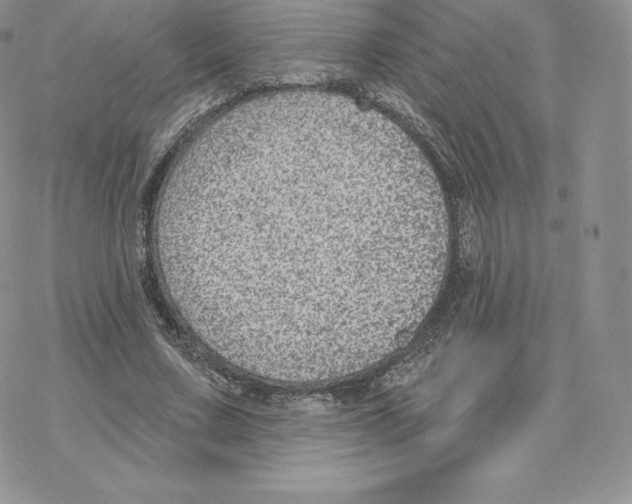 X0000077320683200611171743