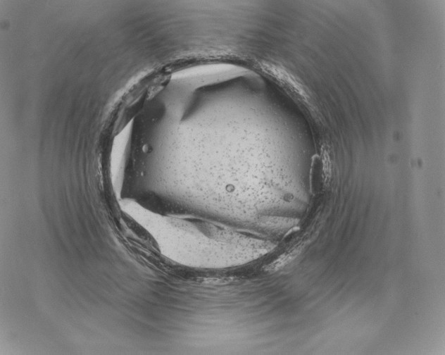 X0000077320684200611171743