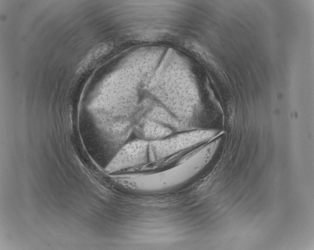 X0000077320685200611171743