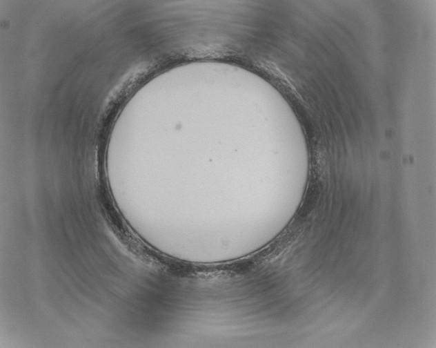 X0000077320686200611171743