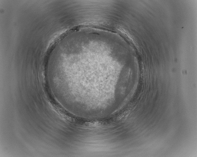 X0000077320688200611171743