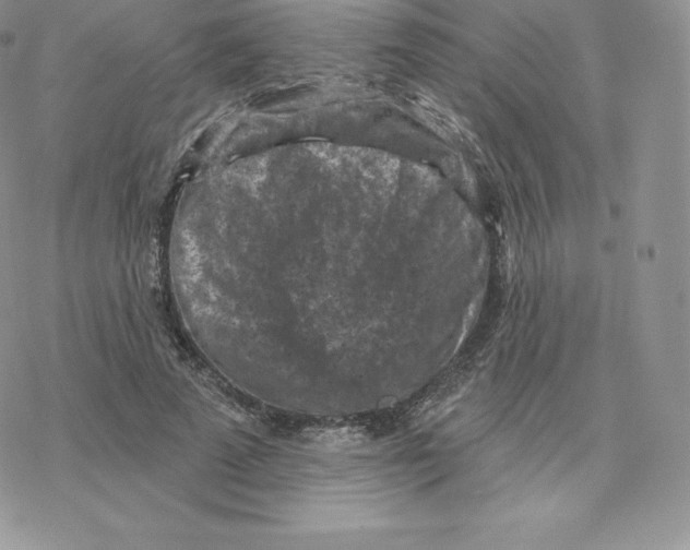 X0000077320689200611171743