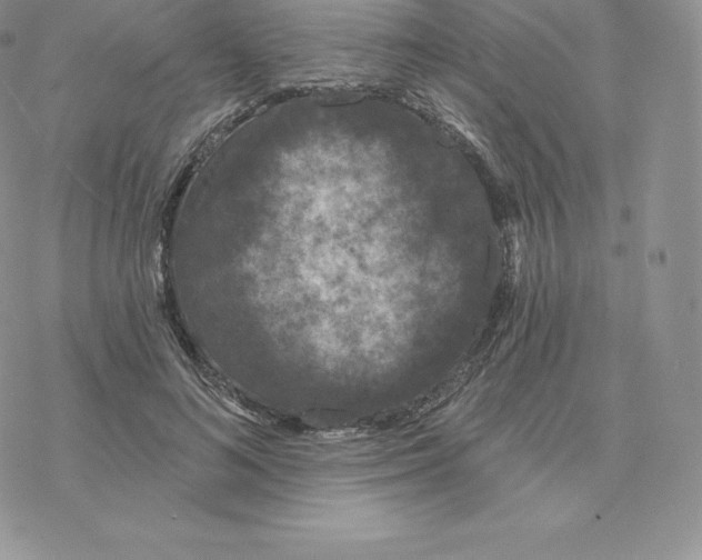 X0000077320692200611171743