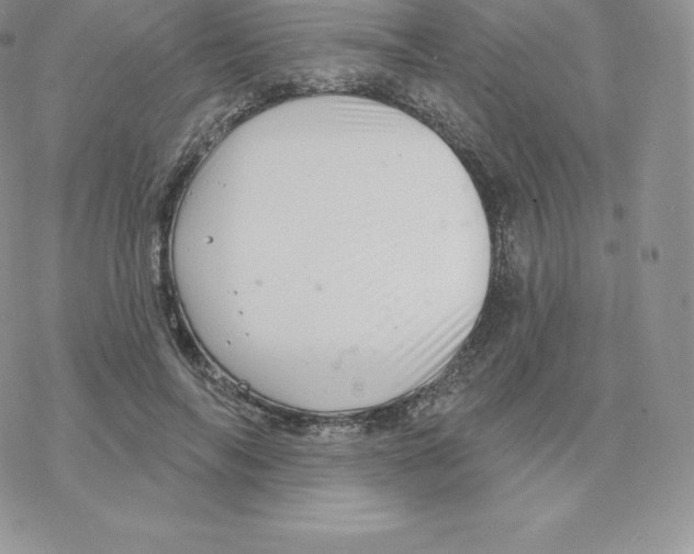 X0000077320694200611171743