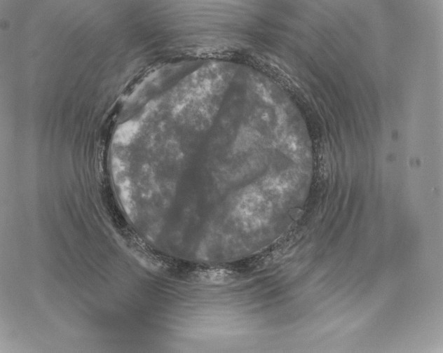 X0000077320695200611171743