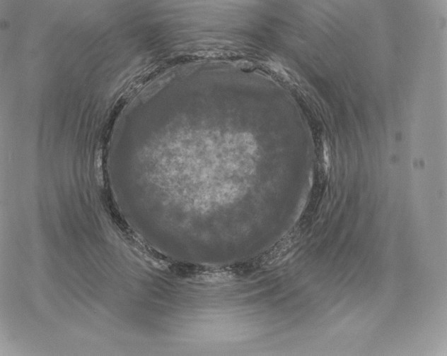 X0000077320696200611171743