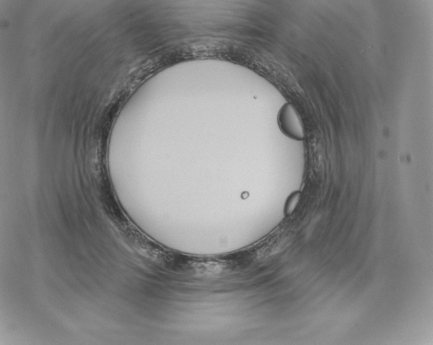 X0000077320698200611171743