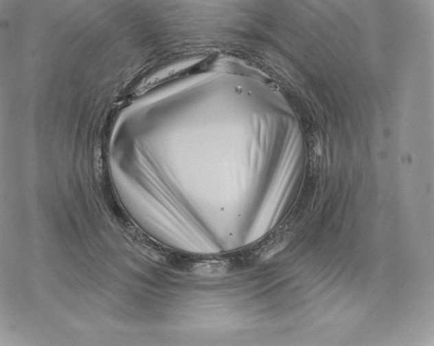 X0000077320700200611171743