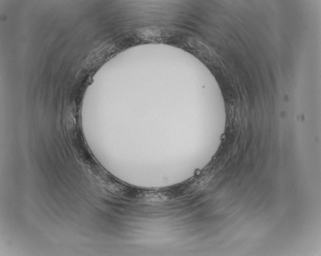 X0000077320702200611171743