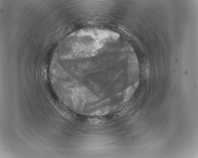 X0000077320703200611171742