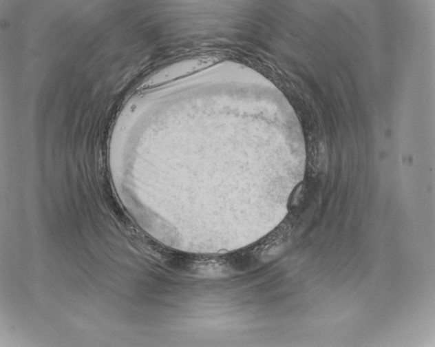 X0000077320704200611171742