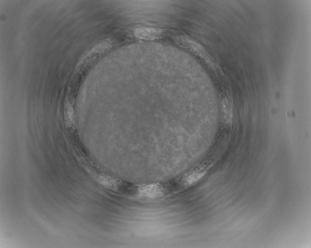 X0000077320705200611171742