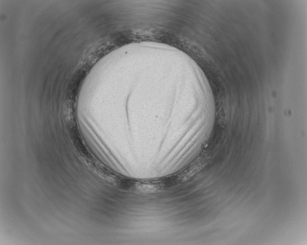 X0000077320706200611171742