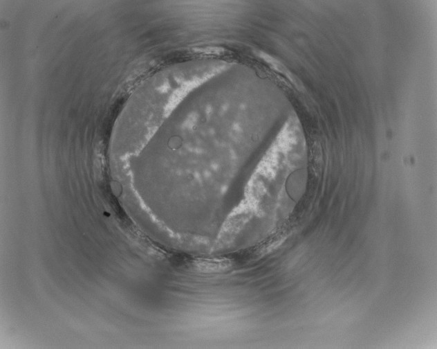 X0000077320707200611171742