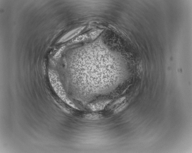 X0000077320708200611171742