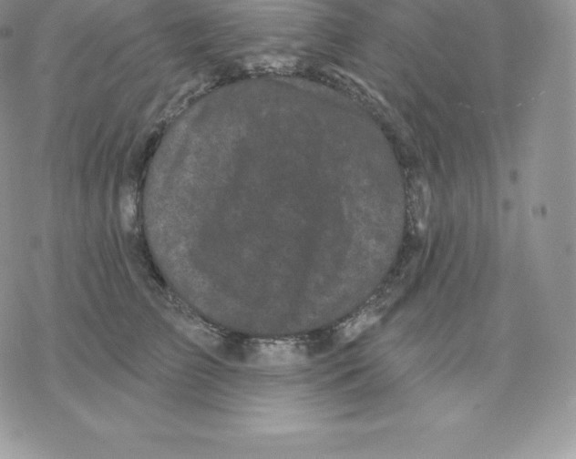 X0000077320709200611171742