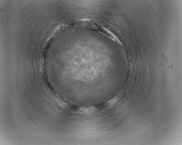 X0000077320712200611171742