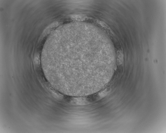 X0000077320713200611171742