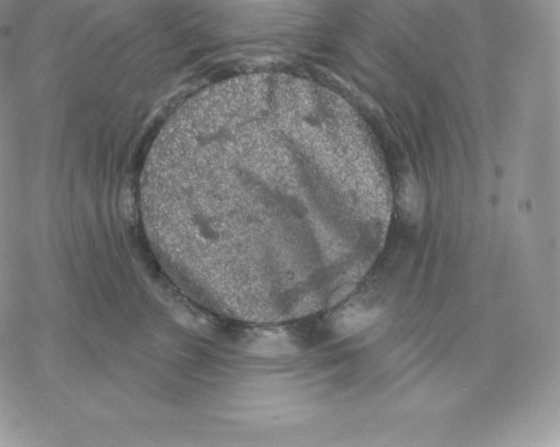 X0000077320715200611171742